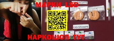 apvp Беслан