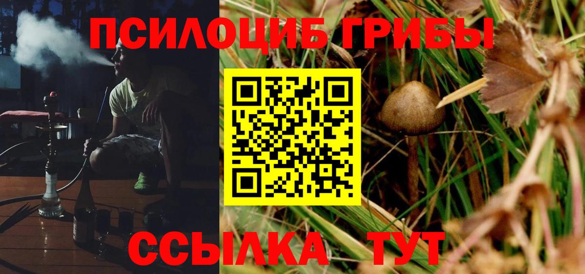 Галлюциногенные грибы прущие грибы Ижевск