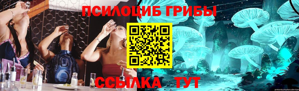 Псилоцибиновые грибы прущие грибы  Вход с VPN  Псилоцибиновые грибы Psilocybe  Ижевск 